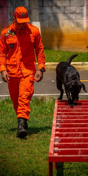 Corpo de Bombeiros conta com 'estagiários' de quatro patas
