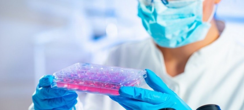 Anúncio foi feito nesta segunda-feira, em nota, pela farmacêutica britânica
- Foto: Fiocruz / Divulgação Anúncio foi feito nesta segunda-feira, em nota, pela farmacêutica britânica