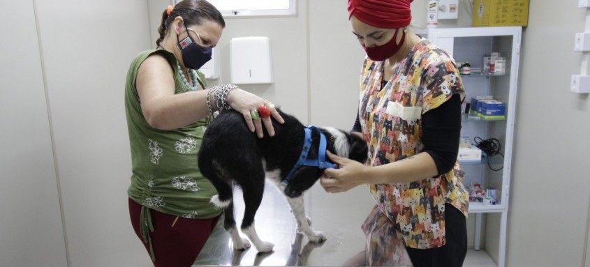 Ilha do Governador recebe atendimento médico-veterinário gratuito