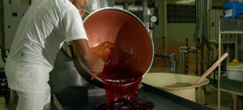 O levantamento confirma um comportamento dos empresários no sentido de implementar inovações em seus negócios, para driblar os obstáculos impostos pela pandemia
- Foto: José Paulo Lacerda/CNI O levantamento confirma um comportamento dos empresários no sentido de implementar inovações em seus negócios, para driblar os obstáculos impostos pela pandemia