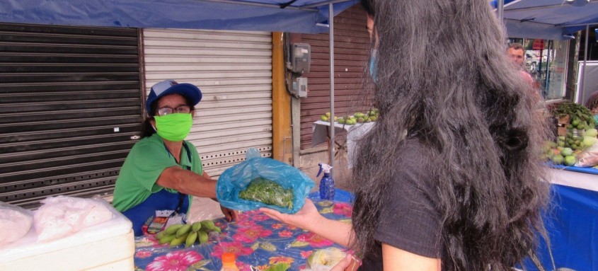 Feira de Agricultura de SG      