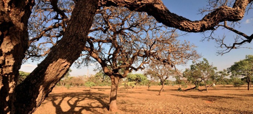 Segundo documento, seca extrema foi detectada em 3 pontos do país