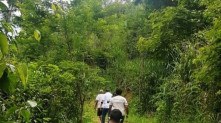 Cidade também está participando do Programa Floresta do Amanhã, que garantirá o reflorestamento e manutenção de 90 hectares nos próximos quatro anos Divulgação