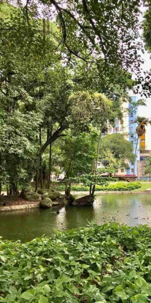 Uma ação conjunta está sendo realizada para que o espaço volte a funcionar normalmente a partir desta sexta-feira (8)