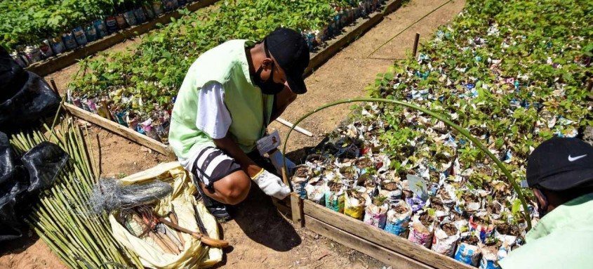 Atualmente, cerca de 400 jovens com idades entre 16 e 24 anos, moradores de 11 comunidades de Niterói, atuam em atividades como reflorestamento de áreas da cidade - Foto: Davi Tauil / Divulgação Atualmente, cerca de 400 jovens com idades entre 16 e 24 anos, moradores de 11 comunidades de Niterói, atuam em atividades como reflorestamento de áreas da cidade