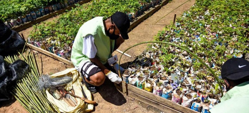 Atualmente, cerca de 400 jovens com idades entre 16 e 24 anos, moradores de 11 comunidades de Niterói, atuam em atividades como reflorestamento de áreas da cidade