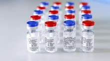 Nove estados solicitaram à Anvisa a autorização excepcional para importar doses da vacina russa Sputnik V Divulgação / Sputnik V
