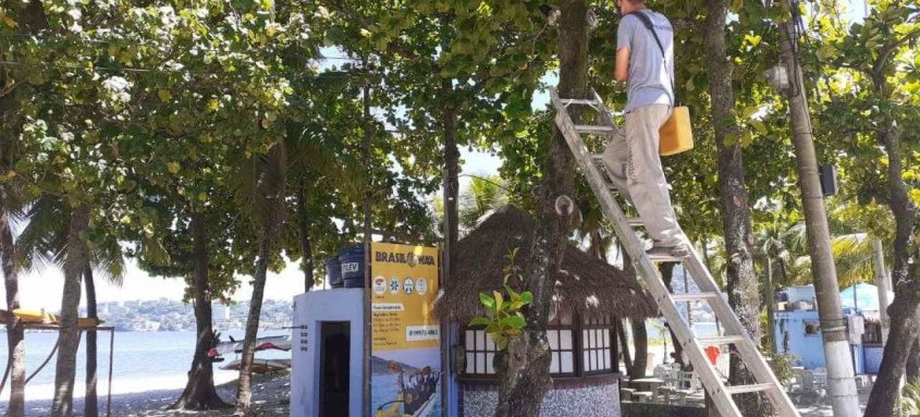 Trabalho iniciou com recuperação das árvores existentes. Algumas receberam adubação, outras foram descupinizadas - Foto: Divulgação Trabalho iniciou com recuperação das árvores existentes. Algumas receberam adubação, outras foram descupinizadas