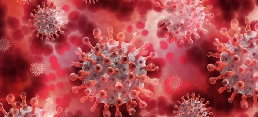 Coronavírus: dentre as causas que levam ao maior poder patogênico da infecção estão as doenças do sistema imune. A patogenicidade do vírus se caracteriza por um bloqueio da resposta imune