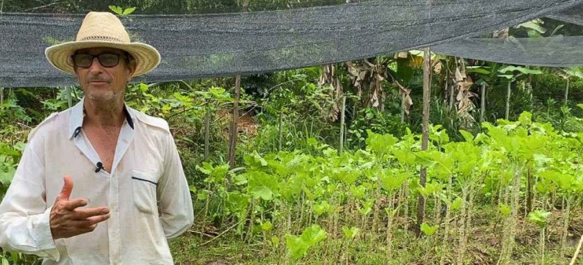 Os agricultores familiares podem participar da chamada pública do Programa Nacional de Alimentação Escolar (PNAE)