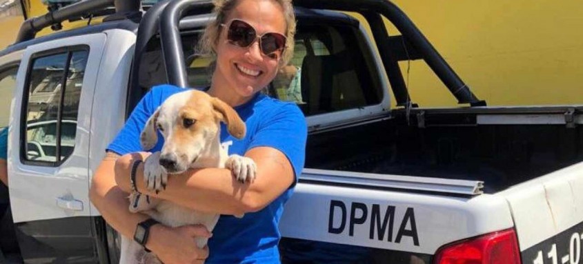 No local foram encontrados: um cachorro e duas tartarugas