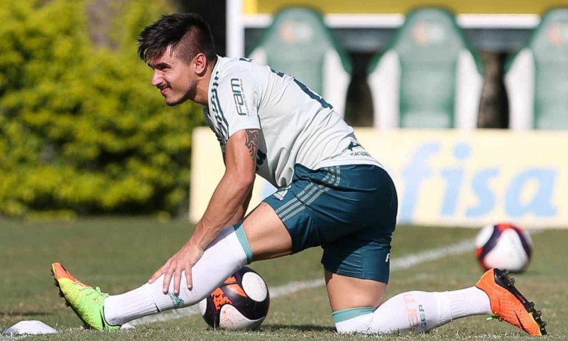 Cesar Greco / Palmeiras