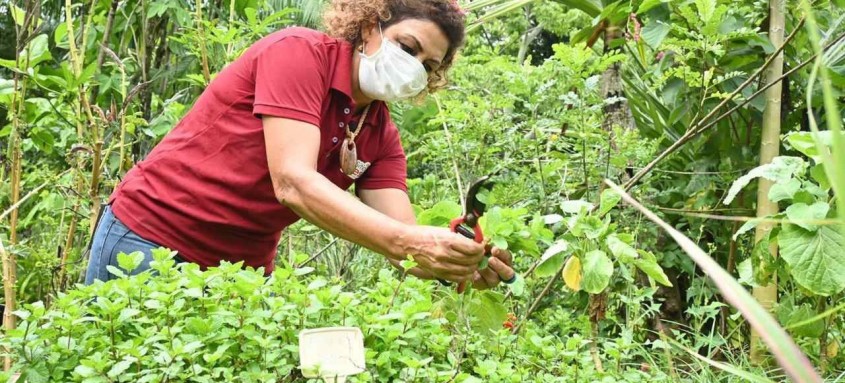 Serão contemplados mais de 25 mil produtores de 27 municípios em sete estados