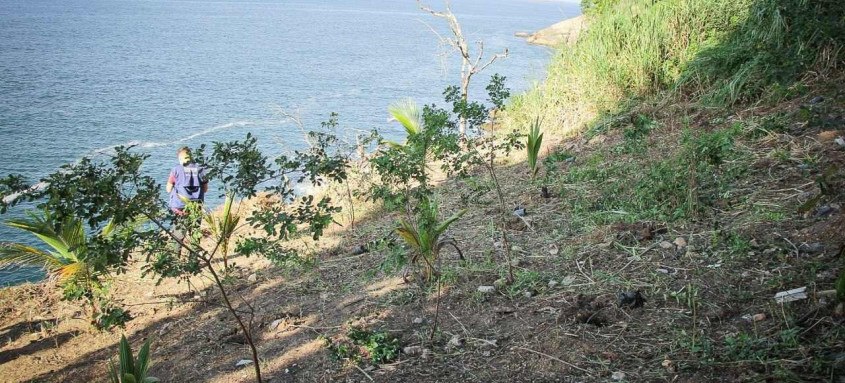 Iniciativa prevê o reflorestamento da região com mais de 300 mudas a serem plantadas - Foto: Divulgação Iniciativa prevê o reflorestamento da região com mais de 300 mudas a serem plantadas