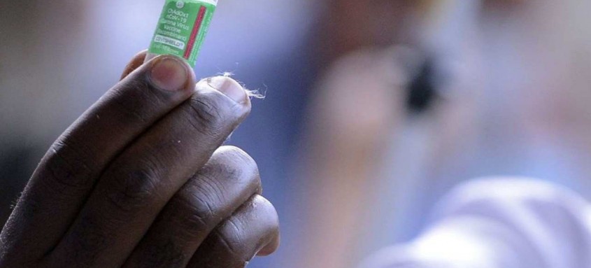 Desde o início da produção, a Fiocruz já produziu e entregou mais de 30 milhões de doses da vacina ao Ministério da Saúde - Foto: Tomaz Silva / Agência Brasil Desde o início da produção, a Fiocruz já produziu e entregou mais de 30 milhões de doses da vacina ao Ministério da Saúde