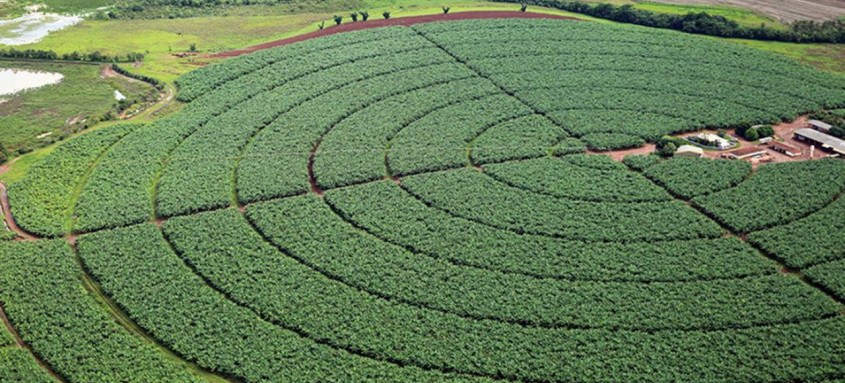 Alta é 10% em relação à produção prevista para este ano
