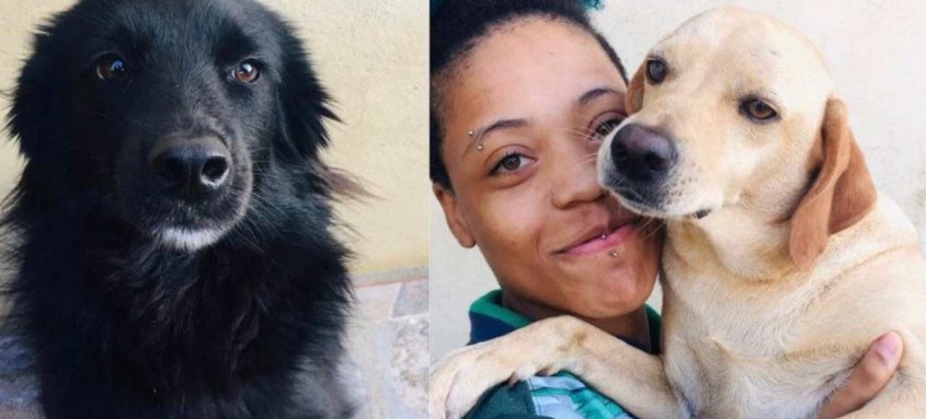 Os animais entram em campo acompanhados das jogadoras de futebol feminino na partida entre Botafogo x São José