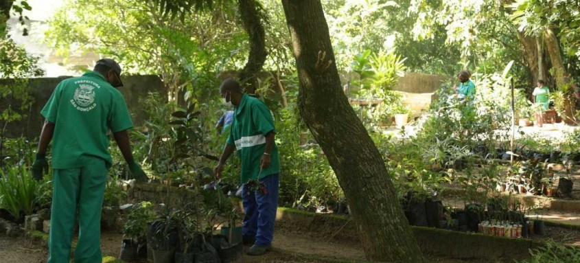 Paisagismo e requalificação urbana irão valorizar as vias de acesso à cidade