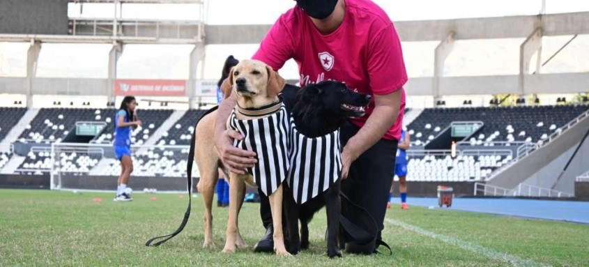 Os animais entraram em campo acompanhados das jogadoras de futebol feminino na partida entre Botafogo e São José