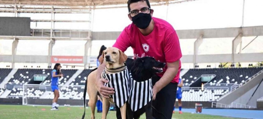 Os animais entraram em campo acompanhados das jogadoras de futebol feminino na partida entre Botafogo e São José