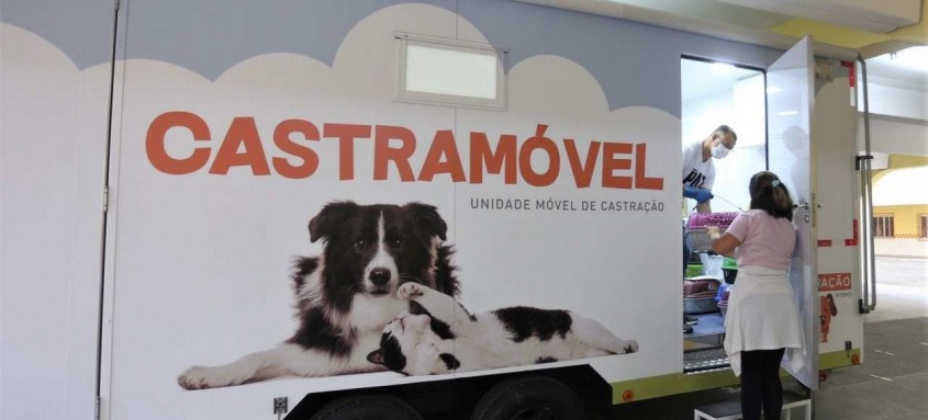 Donos de cães e gatos poderão agendar as cirurgias no próximo sábado (11), a partir das 9h, no Horto do Barreto - Foto: Divulgação Donos de cães e gatos poderão agendar as cirurgias no próximo sábado (11), a partir das 9h, no Horto do Barreto