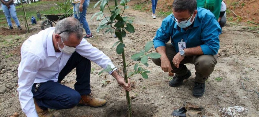 Plantio de mudas para compensação ambiental em São Gonçalo - Foto: Lucas Alvarenga/Prefeitura de São Gonçalo Plantio de mudas para compensação ambiental em São Gonçalo