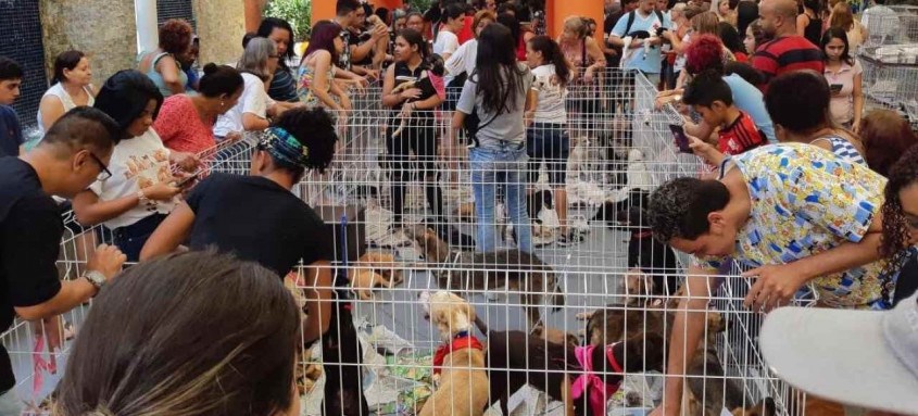 Partage Shopping São Gonçalo promove feira de adoção de animais