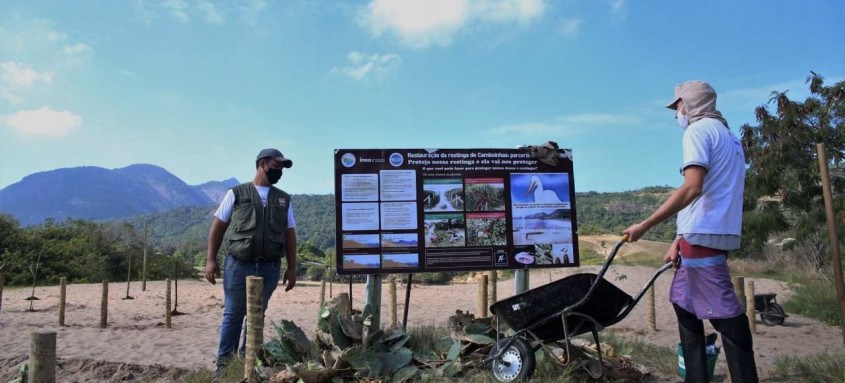 Ao todo cerca de 203,1 hectares da Mata Atlântica em diversas espécies, serão restaurados em restingas, ilhas e diversas áreas protegidas da cidade