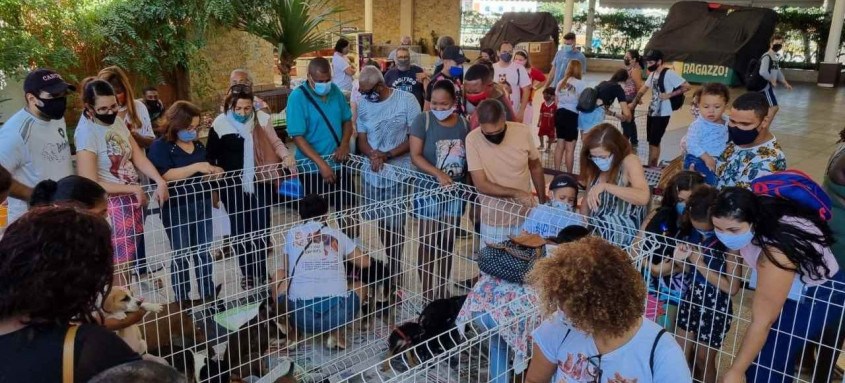 As feiras aconteceram no município de Rio Bonito, Shopping Bangu e Partage shopping em São Gonçalo - Foto: RJPET As feiras aconteceram no município de Rio Bonito, Shopping Bangu e Partage shopping em São Gonçalo