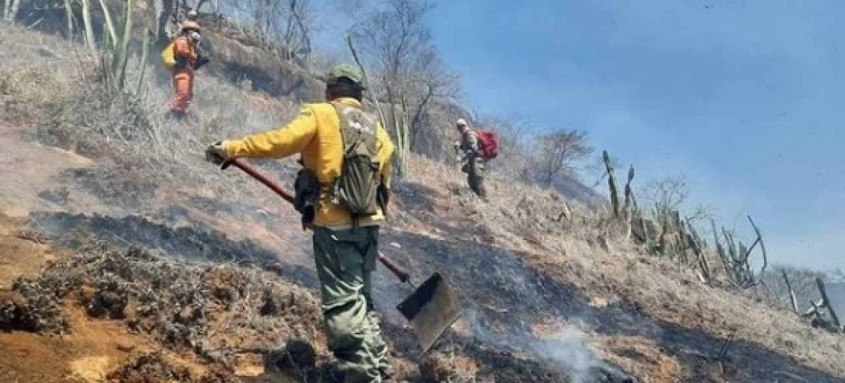 Objetivo da mobilização é reduzir, neste ano, 30% dos focos de incêndio e queimadas na Região Serrana do Estado - Foto: Divulgação Objetivo da mobilização é reduzir, neste ano, 30% dos focos de incêndio e queimadas na Região Serrana do Estado