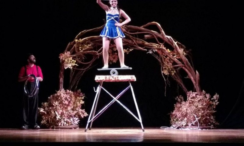 Circo Teatro Saltimbanco / Divulgação