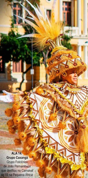 Atual campeã do Carnaval carioca, a Unidos do Viradouro está disponibilizando as duas fantasias de alas destinadas à comercialização