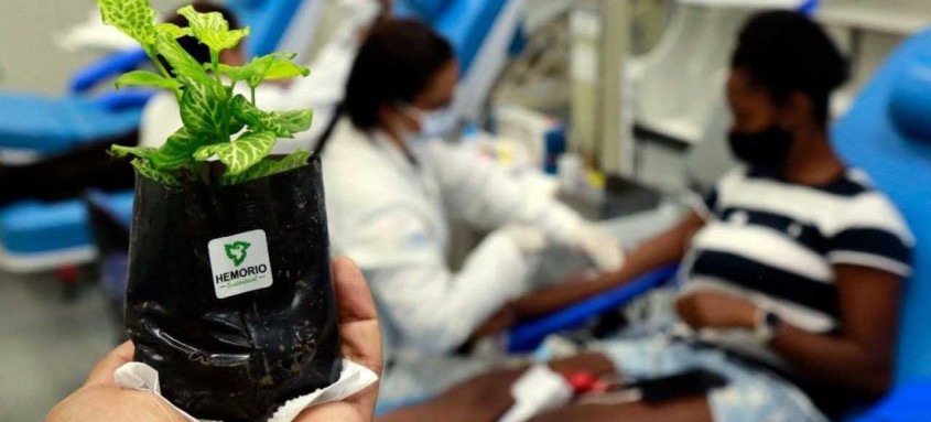 São necessárias pelo menos 300 novas bolsas de sangue por dia para atender a demanda dos pacientes do estado - Foto: Divulgação São necessárias pelo menos 300 novas bolsas de sangue por dia para atender a demanda dos pacientes do estado