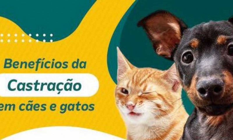 RJPET