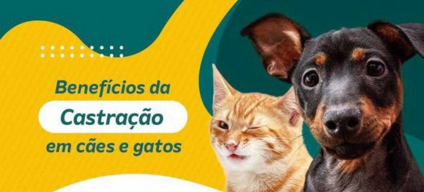 A feira vai acontecer na Catedral Metropolitana de São Sebastião