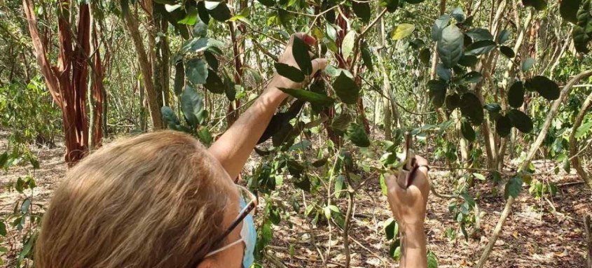 Os pesquisadores foram convidados para fazer o estudo da área pelo grupo voltado para atuação lagunar e que vem realizando diversas ações no local - Foto: Divulgação/Prefeitura de Niterói Os pesquisadores foram convidados para fazer o estudo da área pelo grupo voltado para atuação lagunar e que vem realizando diversas ações no local
