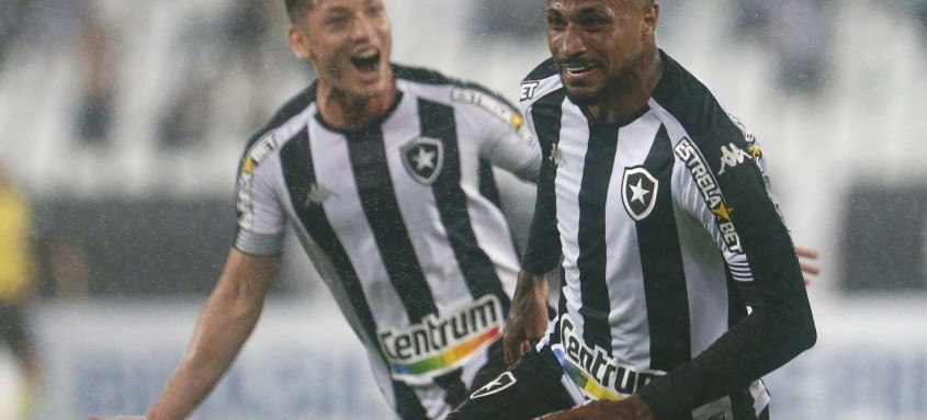 Gol do atacante Diego Gonçalves, aos 30 minutos do 2º tempo, deixou o Botafogo ainda mais perto de voltar à Série A