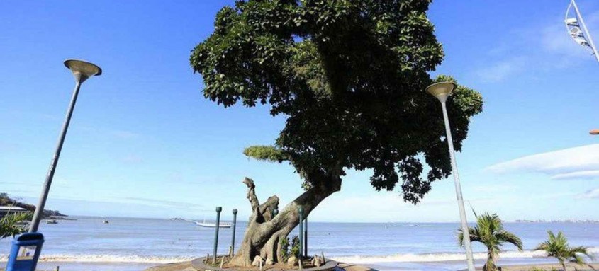Mais de 30 atrações nacionais e internacionais marcarão a retomada das atividades do Rio das Ostras Jazz & Blues Festival - Foto: Prefeitura de Rio das Ostras/Direitos Reservados Mais de 30 atrações nacionais e internacionais marcarão a retomada das atividades do Rio das Ostras Jazz & Blues Festival