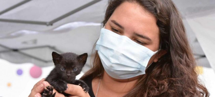 Ao todo, 50 animais estarão disponíveis na ação, que acontece das 13h às 17h, no Shopping Boulevard, no Centro
- Foto: Katito Carvalho/Prefeitura de Maricá Ao todo, 50 animais estarão disponíveis na ação, que acontece das 13h às 17h, no Shopping Boulevard, no Centro