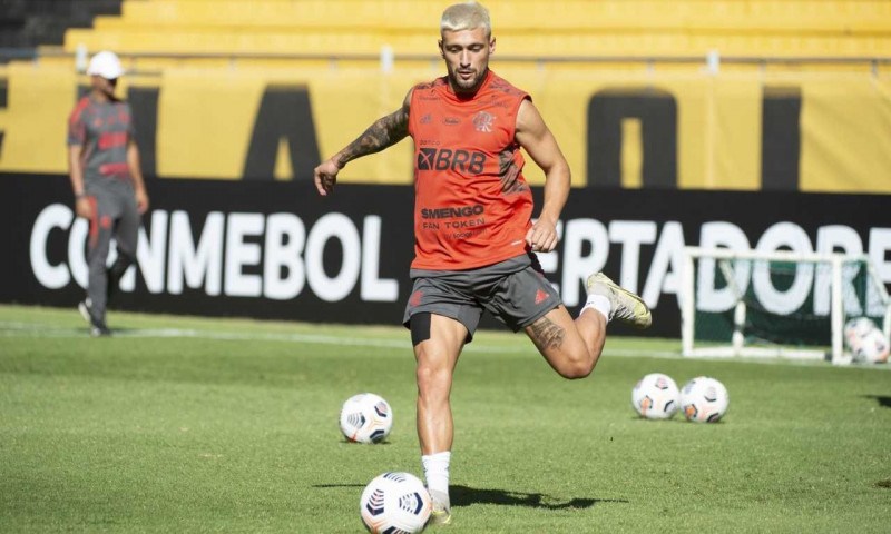 Alexandre Vidal/Flamengo