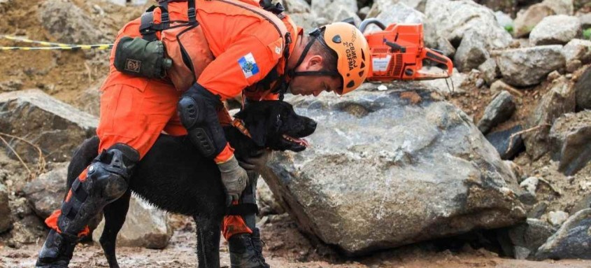 Cães do Corpo de Bombeiros do Estado do Rio foram testados em ambientes rurais e urbanos por cinco dias