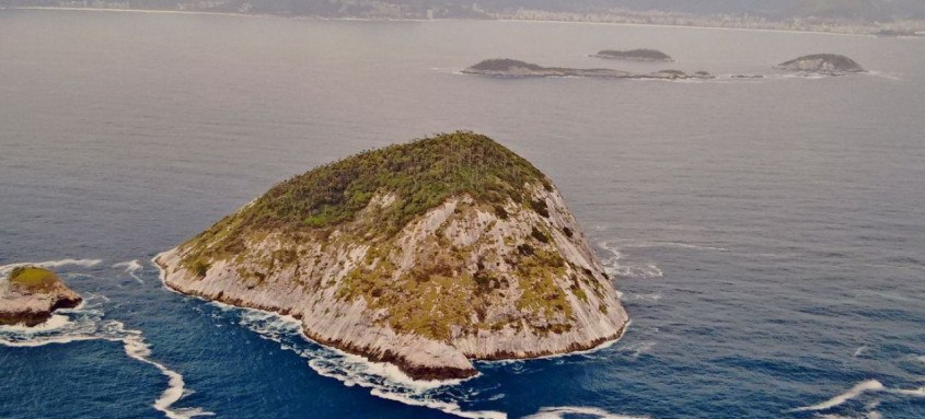 Peças mostrarão a biodiversidade das Ilhas Cagarras

    