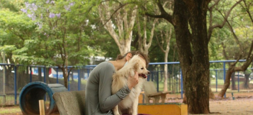 Confira dicas para amenizar o sofrimento do seu bichinho de estimação
- Foto: Rovena Rosa/Agência Brasil Confira dicas para amenizar o sofrimento do seu bichinho de estimação