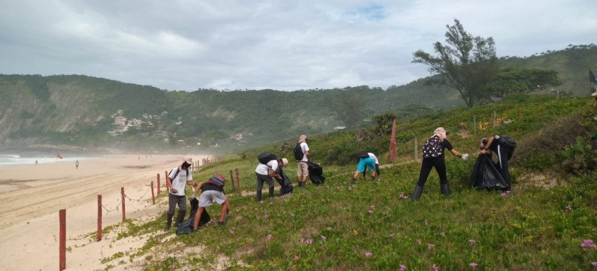 Esse trabalho complexo de remoção exige tempo de execução e logística adequada para não afetar as espécies nativas 