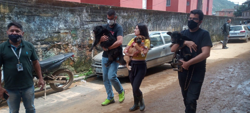 Até o fim da tarde de ontem, pelo menos 50 animais domésticos haviam sido resgatados por voluntários na cidade da Região Serrana do Estado