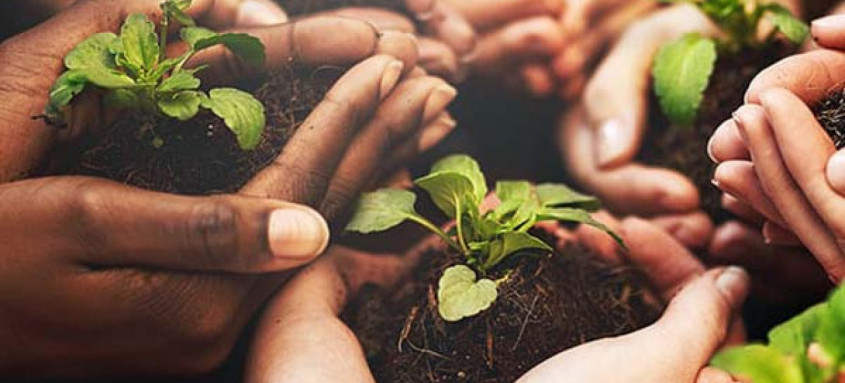 O Programa Ambiente Jovem é um dos maiores programas de educação ambiental realizados no Brasil