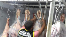 Fiscais autuaram padaria no Flamengo e percorreram mercados do bairro para verificar práticas inadequadas Divulgação