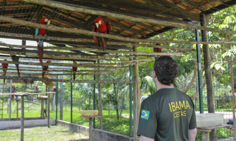 Divulgação/Ibama