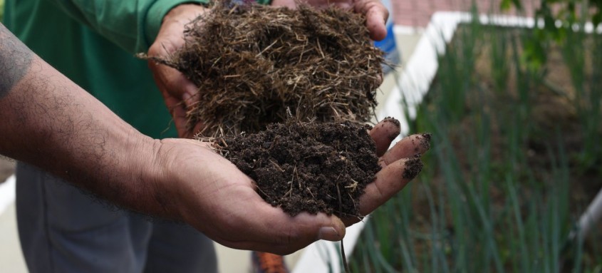 Confirmação veio após validação de política local de agroecologia pela ONU
- Foto: Elsson Campos/Prefeitura de Maricá Confirmação veio após validação de política local de agroecologia pela ONU