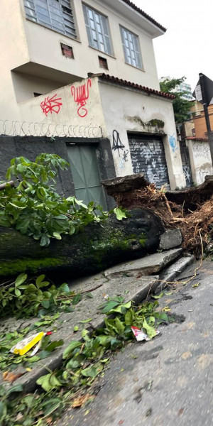 Equipes da Prefeitura ainda trabalham nos impactos causados pela chuva e vento de segunda-feira - Foto: Divulgação/Giulia Paes Equipes da Prefeitura ainda trabalham nos impactos causados pela chuva e vento de segunda-feira